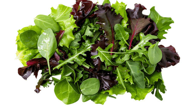 Mixed green and red salad leaves