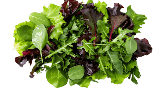 Mixed green and red salad leaves