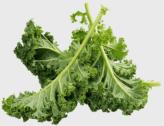 Fresh kale leaves